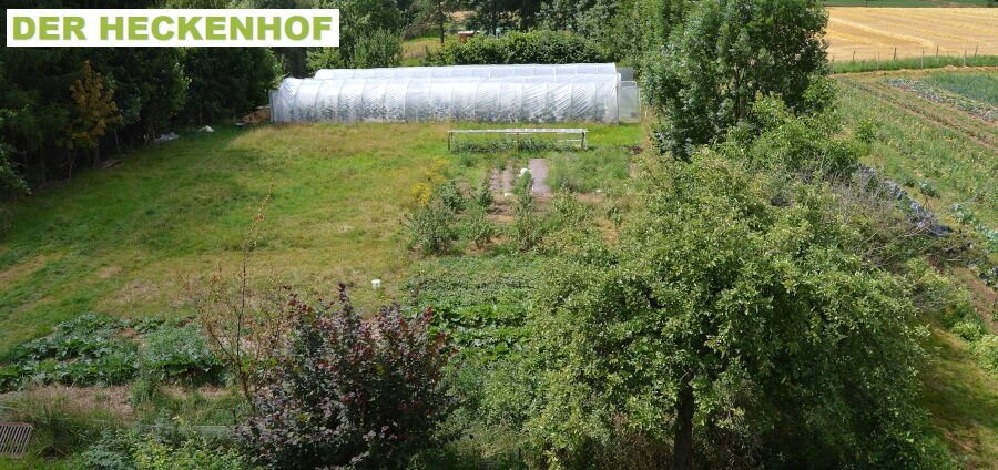 Der Heckenhof ist ein solidarisch wirtschaftender Gartenbaubetrieb (SoLawi).