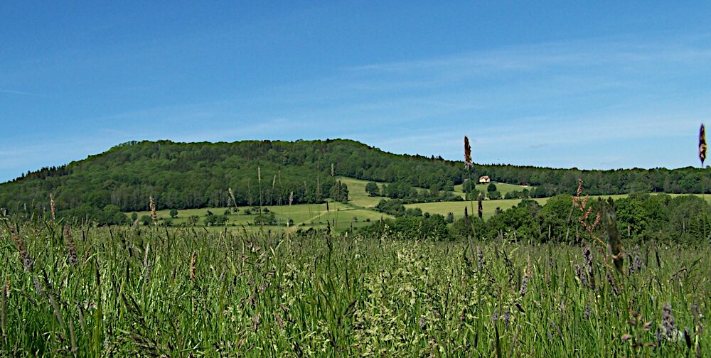Der Rotstein - Sachsens ltestes Naturschutzgebiet