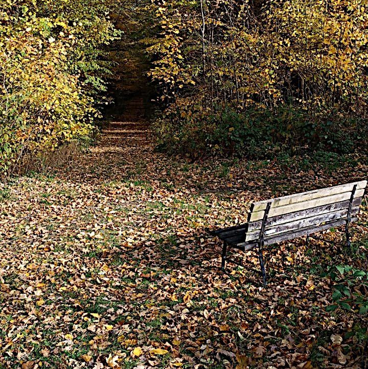 Eine Bank am Waldrand lädt zwischen buntem Herbstlaub zu einer ruhigen Pause ein. Foto L. Linke. zum vergrößern einfach klicken... Eine Bank am Waldrand lädt zwischen buntem Herbstlaub zu einer ruhigen Pause ein. Foto L. Linke.
