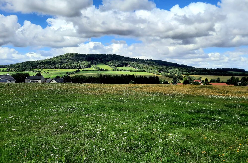 Sohland am Rotstein im August. Foto W. Zinke