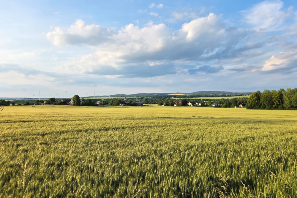 Blick Richtung Niederer Viebig  Foto H. Baumgarten