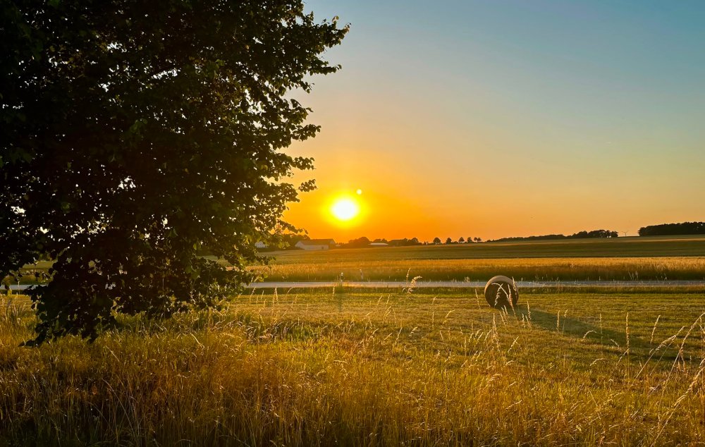 Sommerfoto aus Sohland