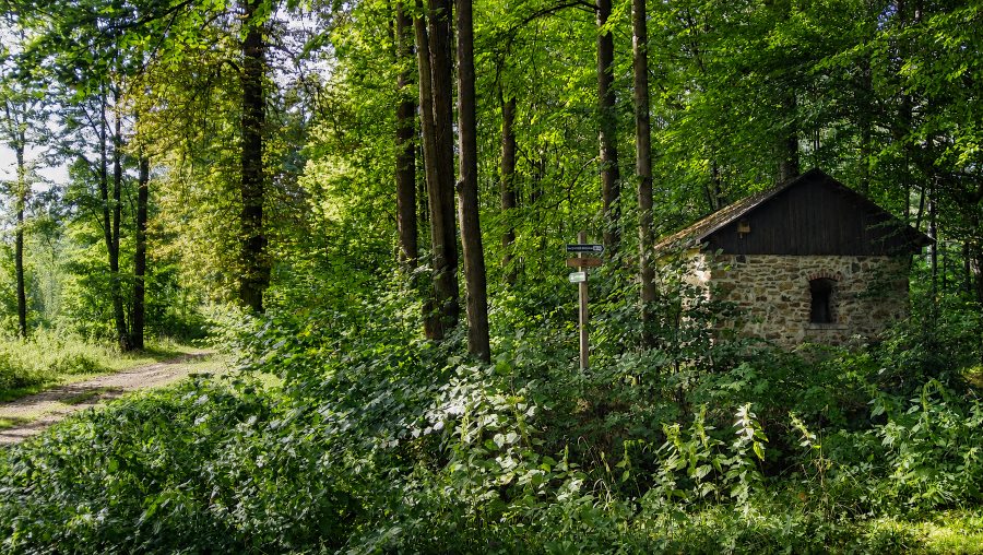 wandern Oberlausitz