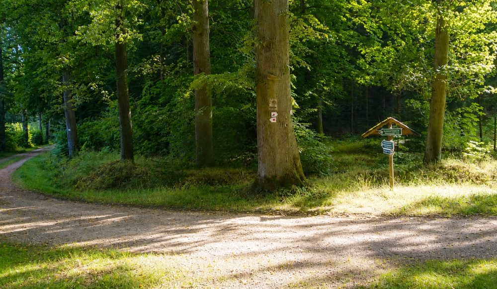 Wandern Oberlausitz wandern Oberlausitz