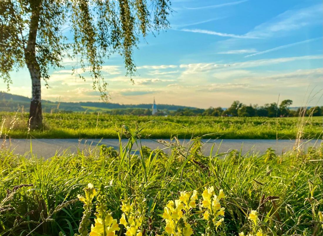 Sommerlicher Ausblick vom Rotstein �ber die Oberlausitz