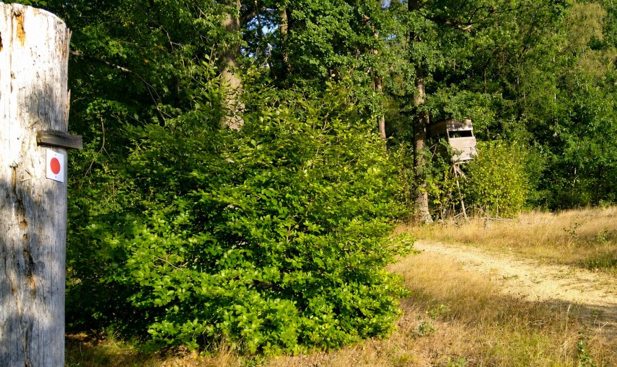 Wandern Rotstein | Natur Ruhe Wandern Rotstein | Natur Ruhe