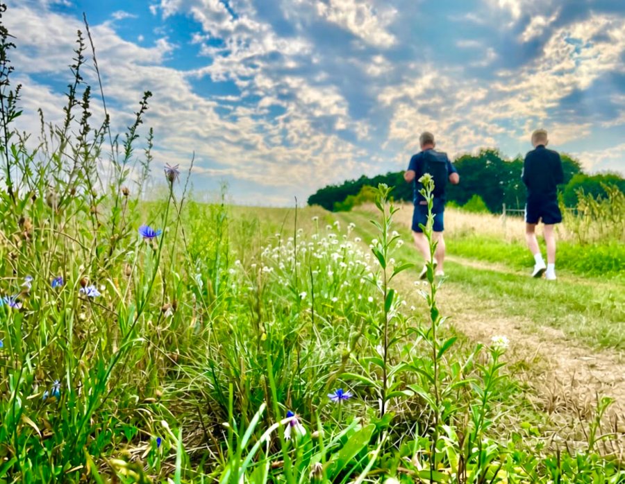 Freizeit - Wandern in und um Sohland