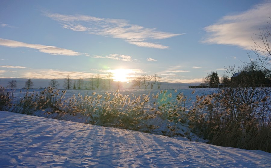Winter mit zwei stelligen Minusgraden in Sohland am Rotstein. Foto K. Haubner